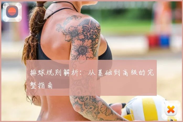 排球规则解析：从基础到高级的完整指南