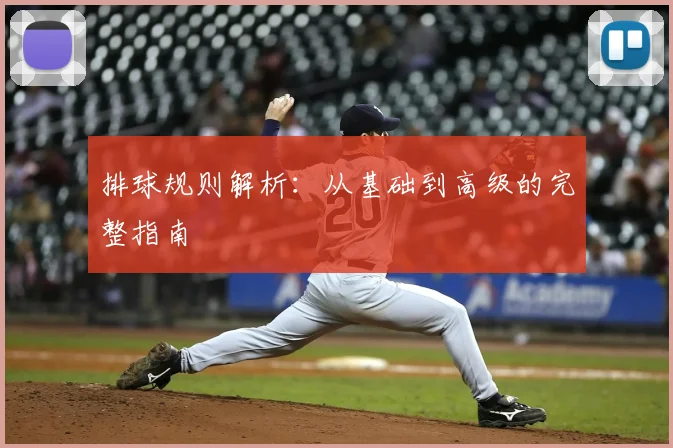 排球规则解析：从基础到高级的完整指南