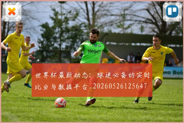 世界杯最新动态:球迷必备的实时比分与数据平台_20260526125647